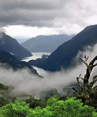 Doubtful Sound
